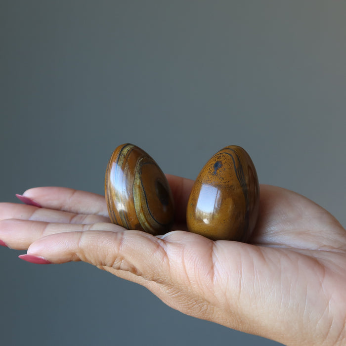 palm  holding Tigers Eye Egg