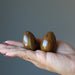 palm  holding Tigers Eye Egg