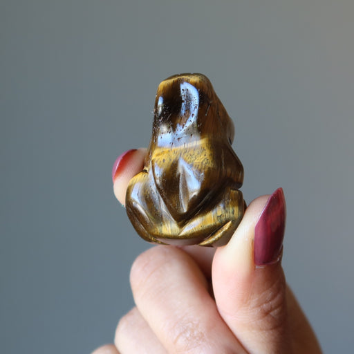 finger tips holding up Tigers Eye Frog