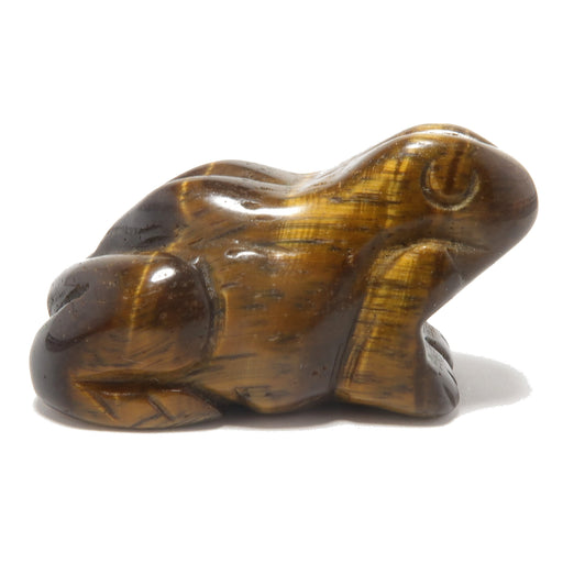 Tigers Eye Frog