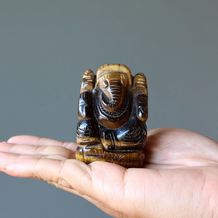 Tigers Eye Ganesh on the palm