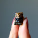 finger tips holding up 1" Tigers Eye Lion