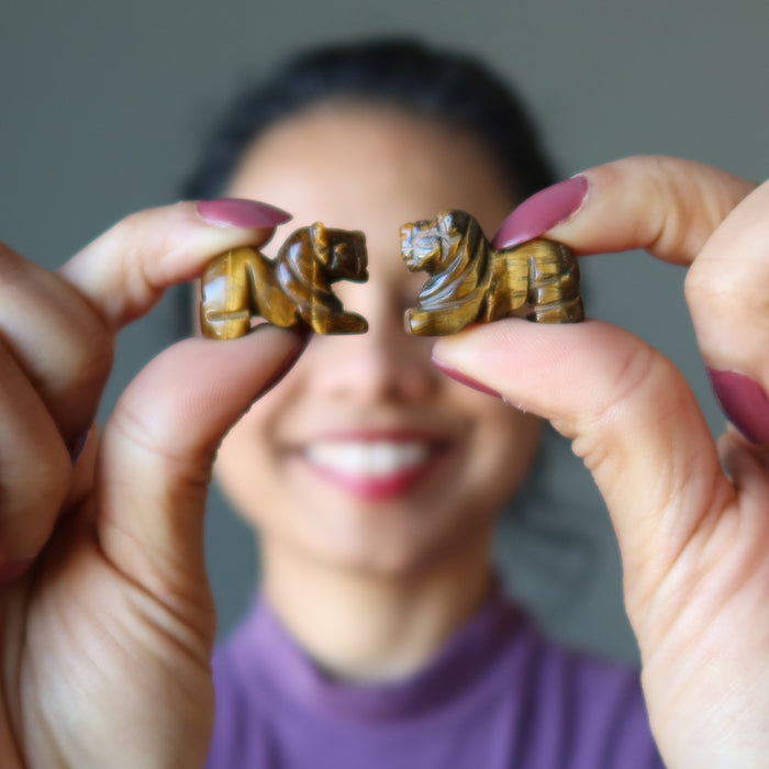 both hands finger tips holding up 2 1" Tigers Eye Lions