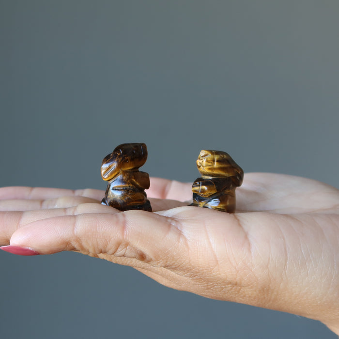two 1" Tigers Eye Rabbits  on the palm