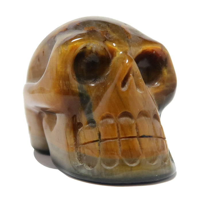 Tigers Eye Skull 