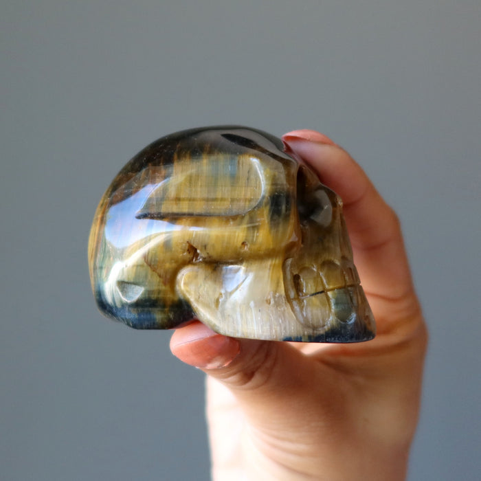 hand holding a brown tigers eye skull side view