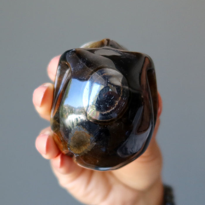 hand holding a brown tigers eye skull top bullseye view