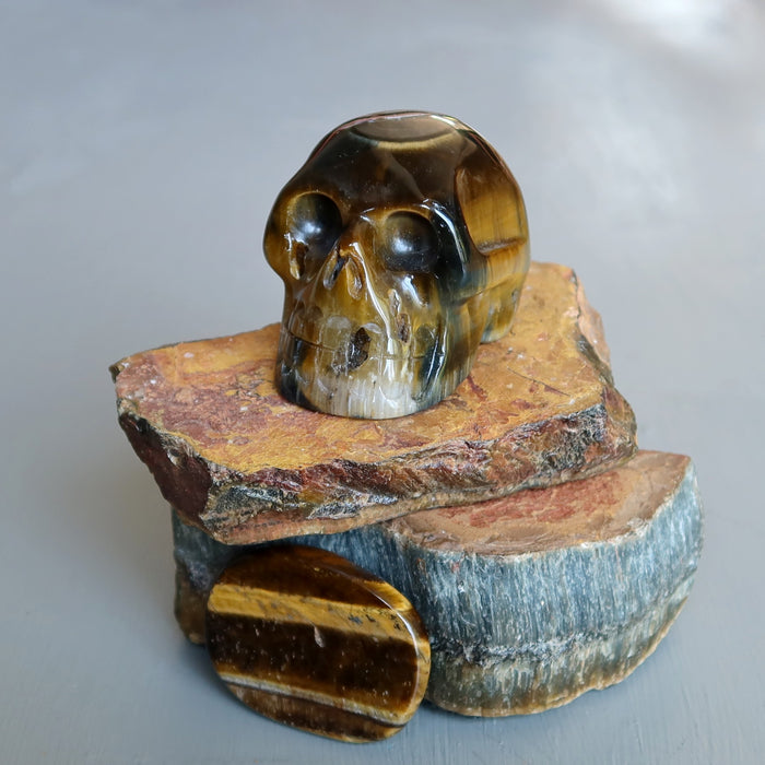 brown tigers eye skull on raw tigers eye slabs