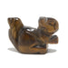 Tigers Eye squirrel