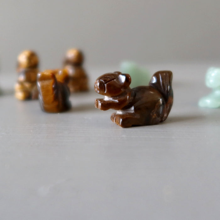 1 Tigers Eye squirrel