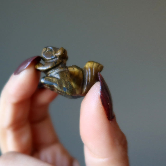 hand holding a Tigers Eye squirrel