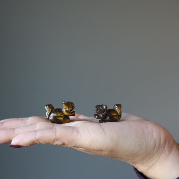 2 Tigers Eye squirrels on palm