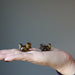 2 Tigers Eye squirrels on palm
