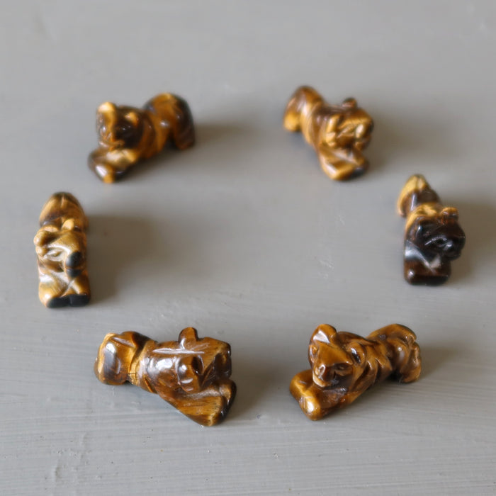 6 tigers Eye Tigers