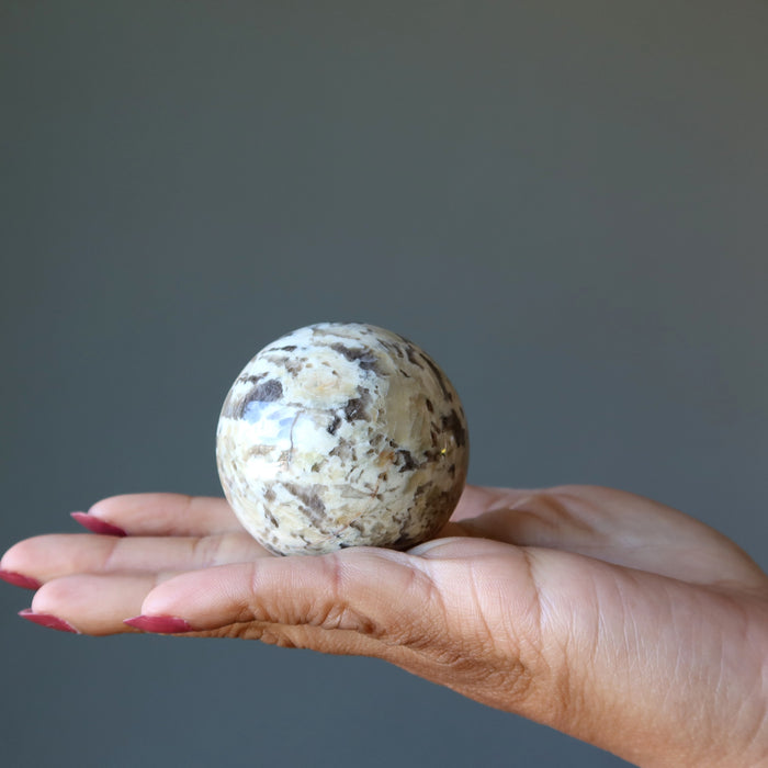 zebradorite sphere in hand