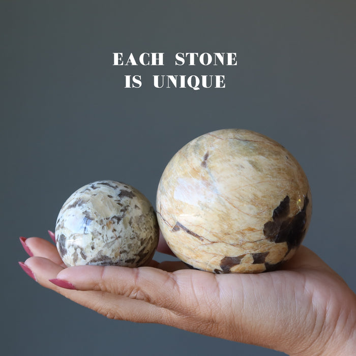 zebradorite spheres in hand